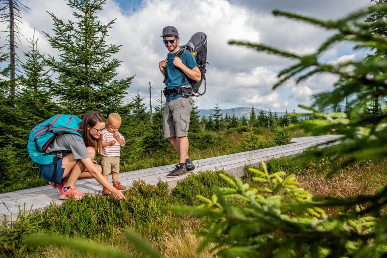 Černohorské rašeliniště