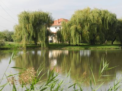 12087140_1447696428575323_671530715780689359_o