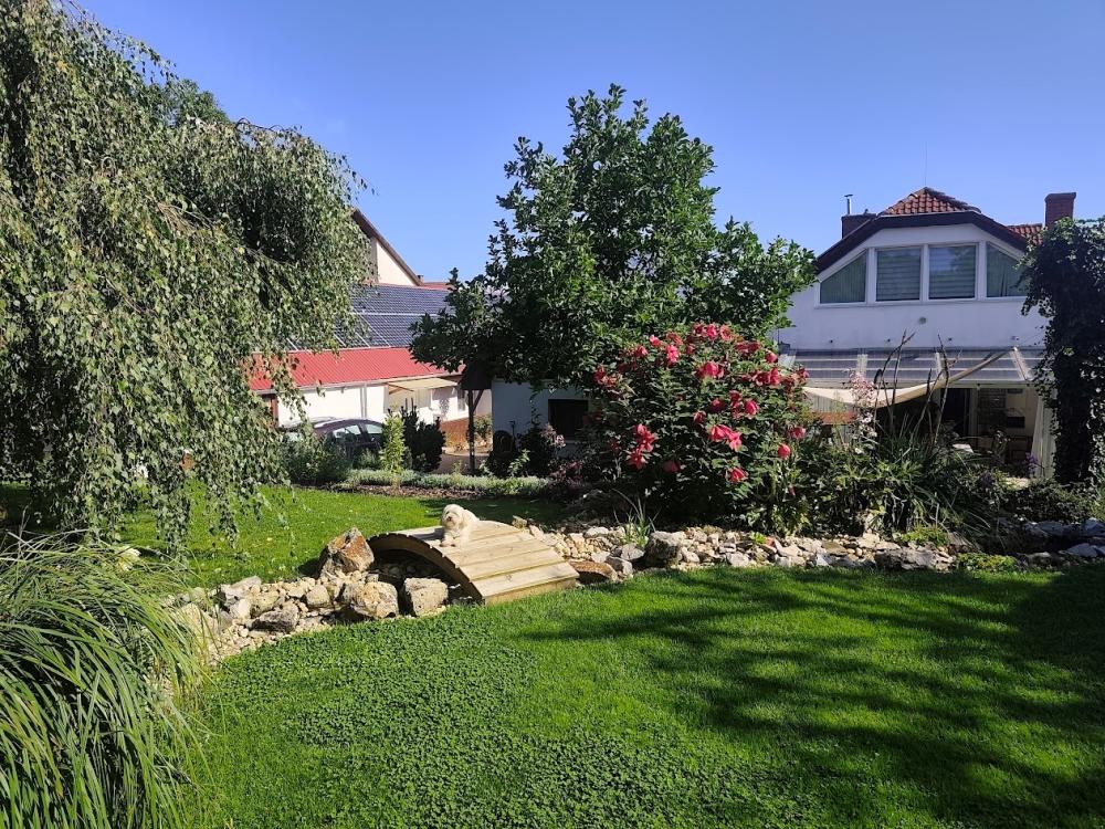 Kert, fürdőtó, wellness