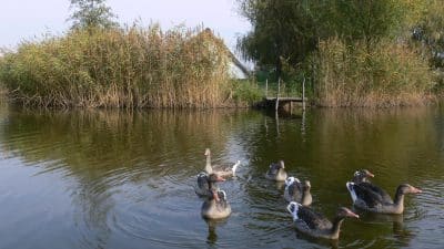 317560801_577956160998854_3589017894222075167_n