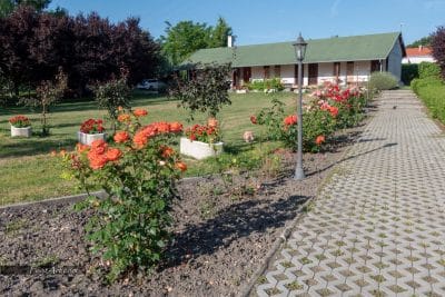 62510027_2748879388518539_6652002570170531840_n