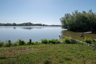 64396189_2748879298518548_2712670957259980800_n