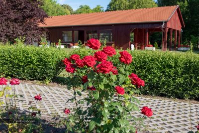 64541681_2748879315185213_6955306451875135488_n