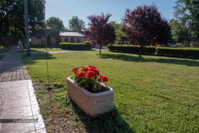 64641506_2748879461851865_6775780907711201280_n