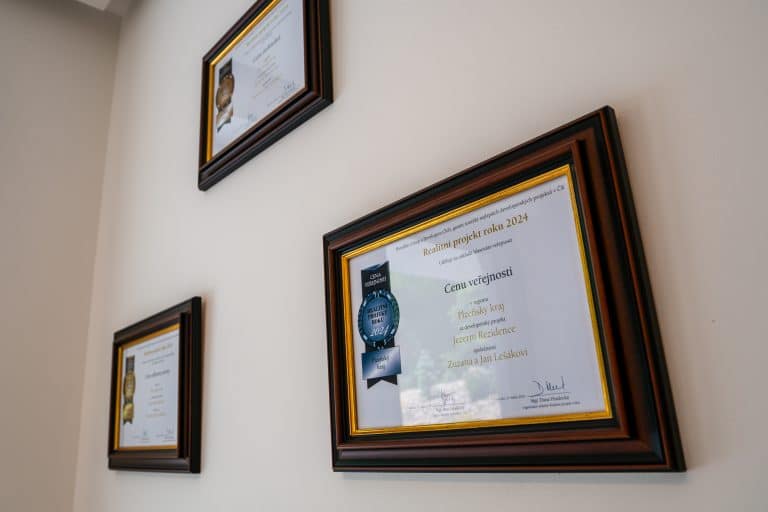Výhra za projekt roku 2024