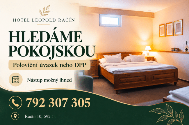 Hledáme pokojskou