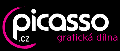 Picasso company logo
