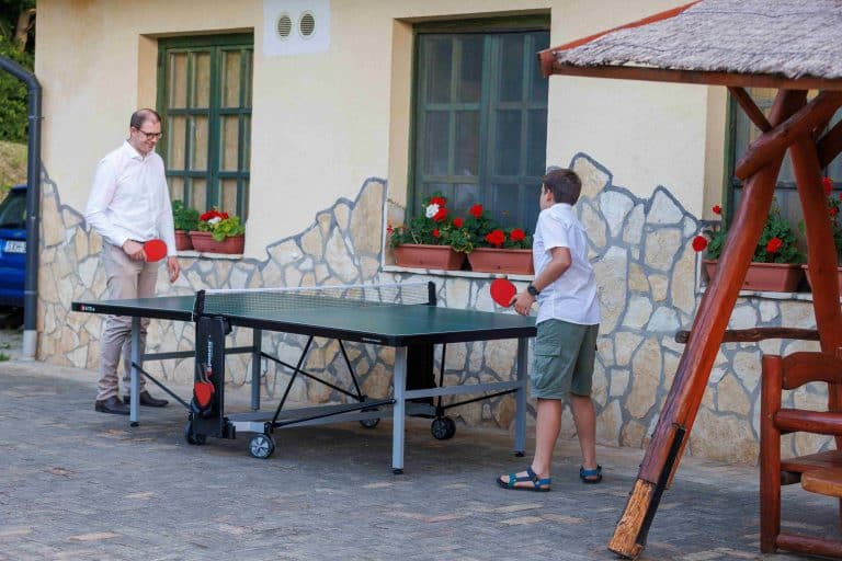 Ping-Pong Asztalitenisz