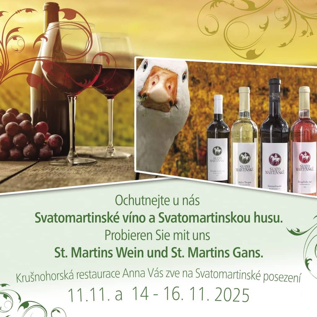 Svatomartinské vína a husa