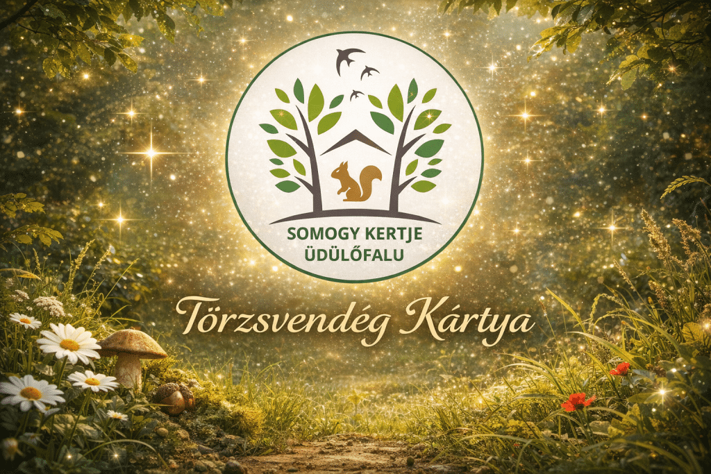 Törzsvendég program - Csillag kártya