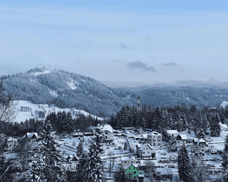 Výhled z Parkhotelu do okolní zimní krajiny