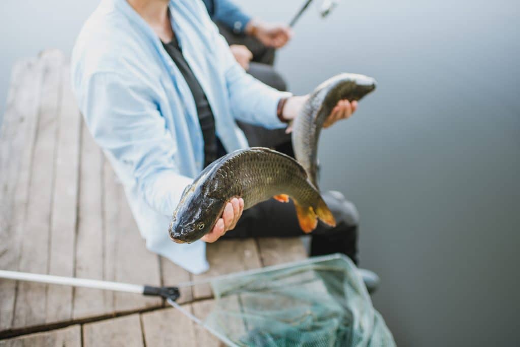 Gefangener Fisch wird hochgehalten