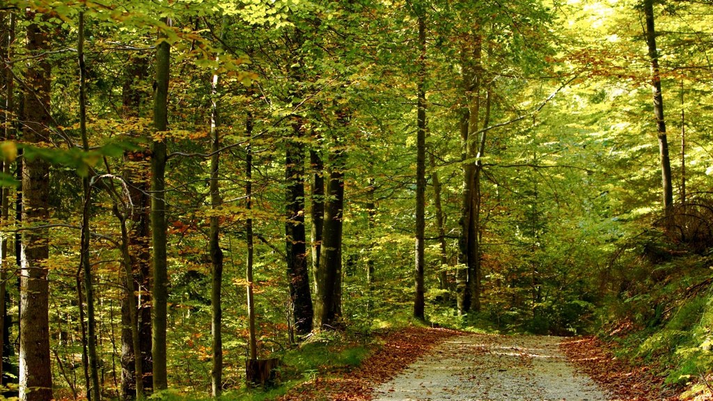 Harrachov Turisticka trasa