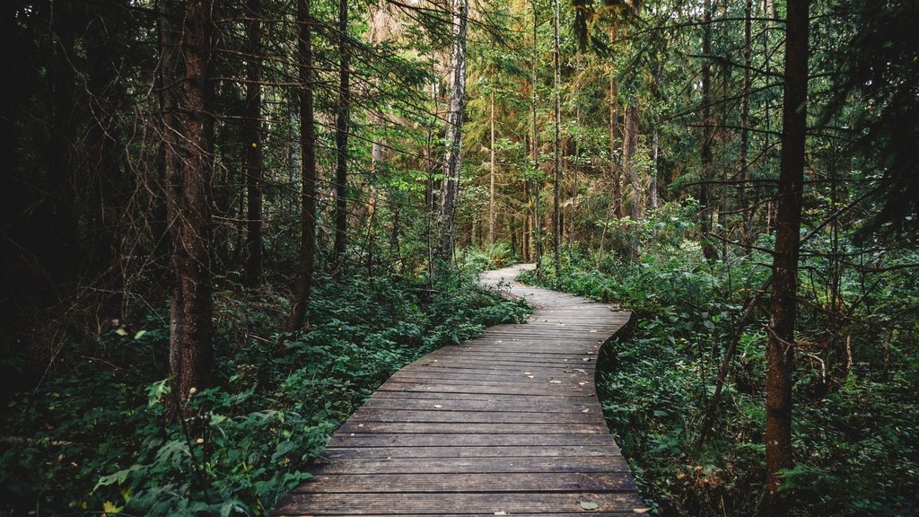 Turistické trasy Harrachov