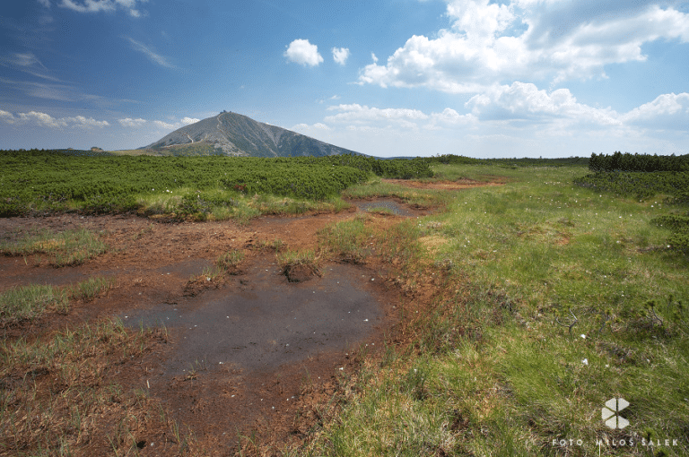 Sněžka, Svatý Vavřinec