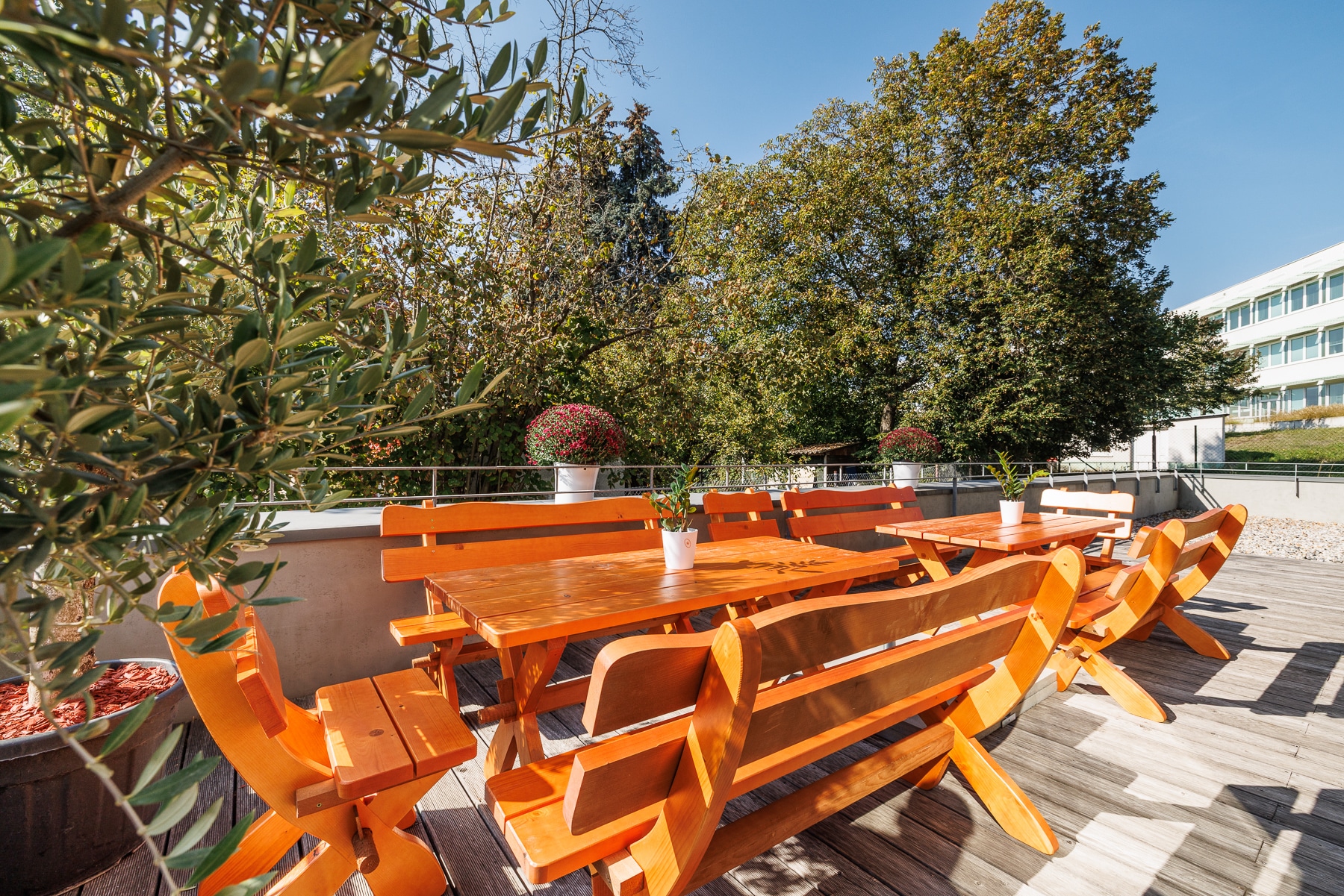 1. patro Sky – foto 4