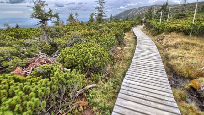 Turistické trasy Harrachov - Krkonoše