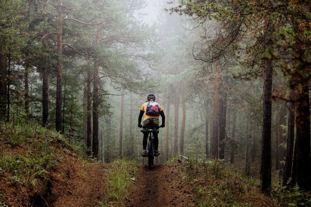 Mann fährt bei Nebel Mountainbike im Wald