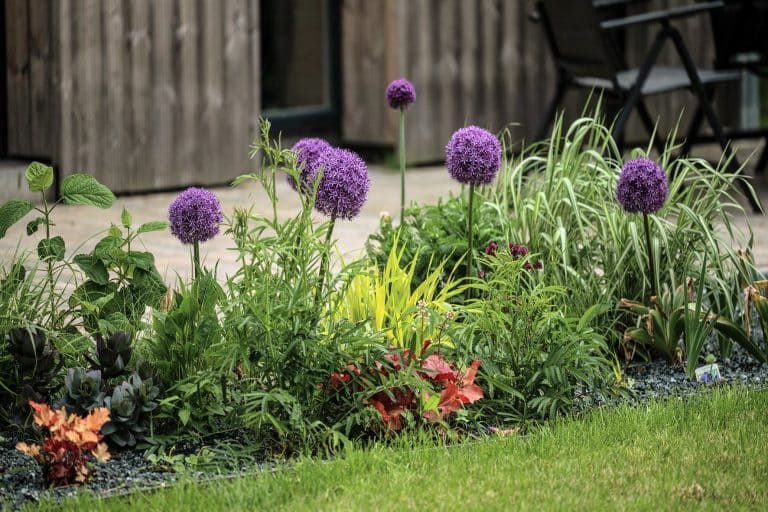 Virágos kert a reBORONA Vendégház erdőszéli környezetében – Őrség szállás Őriszentpéteren