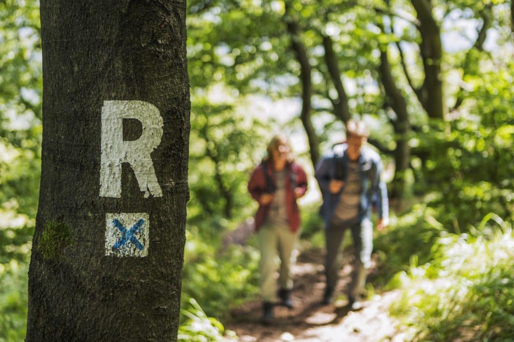 Wanderer im Thüringer Wald. Im Vordergrund es das Rennsteiglogo.