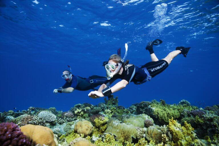 Scorpio Madeira diving center