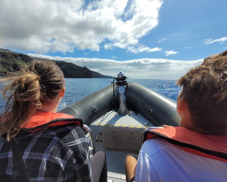 Setkejte se s delfíny a velrybami