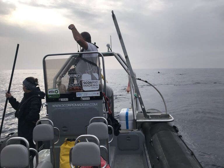 Setkejte se s delfíny a velrybami