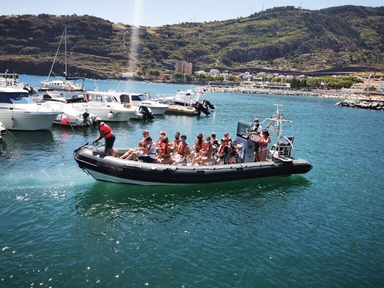 Setkejte se s delfíny a velrybami