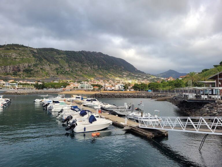 Setkejte se s delfíny a velrybami