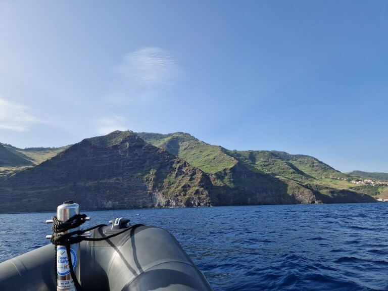 Setkejte se s delfíny a velrybami