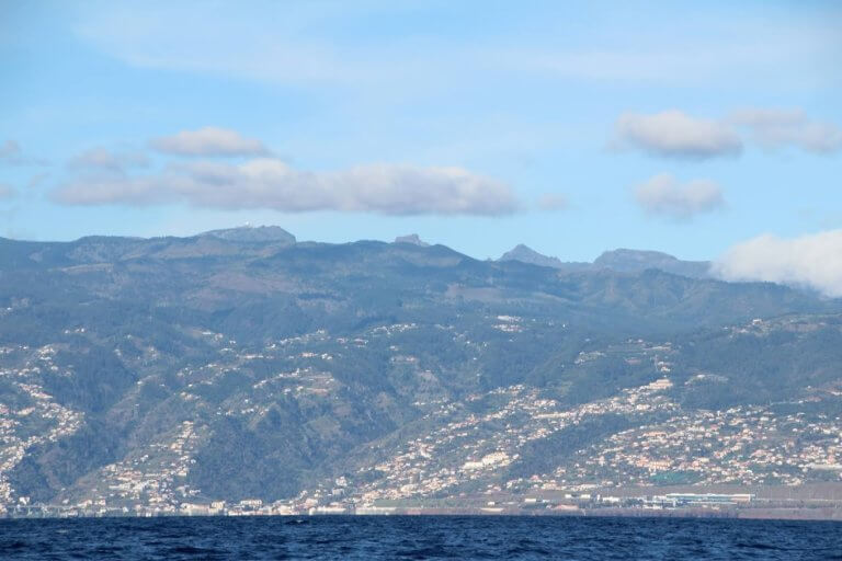 Setkejte se s delfíny a velrybami