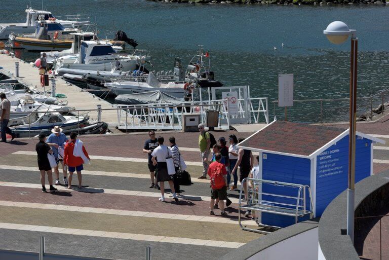 Setkejte se s delfíny a velrybami