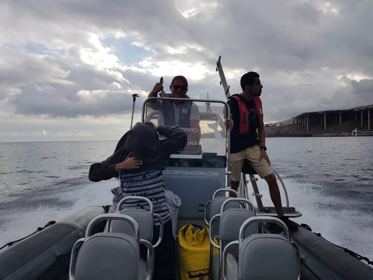 Setkejte se s delfíny a velrybami